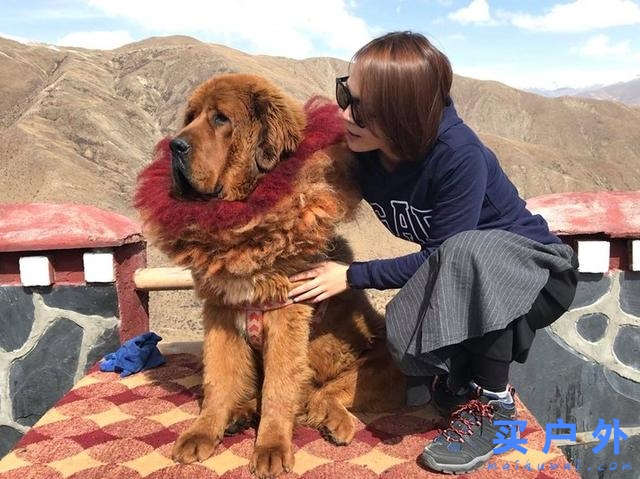 西藏旅行,一場最美的遇見