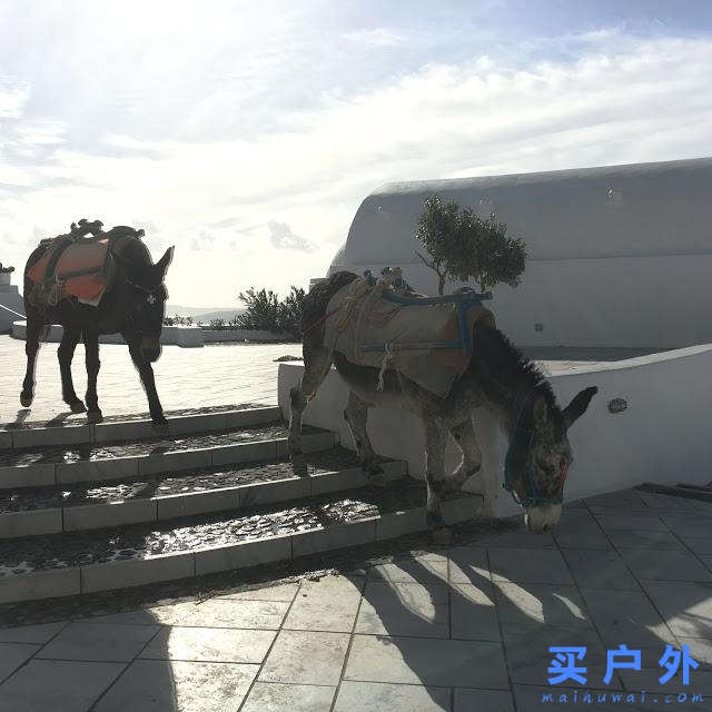 希臘圣托里尼,女生夢寐以求的旅行目的地