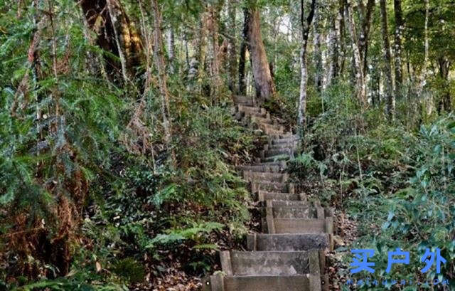 Salomon的登山鞋好在哪里?分享Salomon登山鞋實測心得