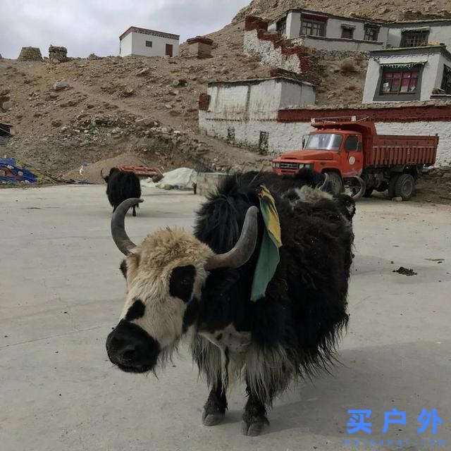 西藏旅行,一場最美的遇見