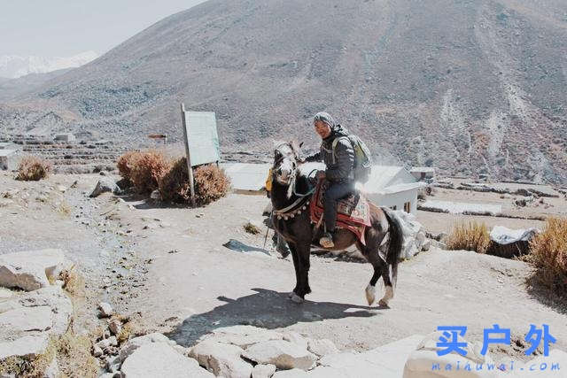 尼泊爾EBC珠峰大本營徒步,Island Peak島峰攀登