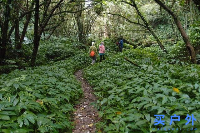 把原先的羽絨服汰換掉啦，以后上山就靠這件The North Face ThermoBall北面保暖棉服外套