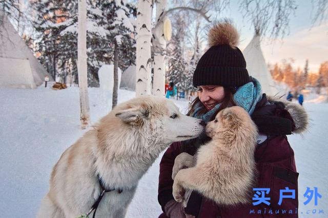 加拿大黃刀鎮極光村除了看炫目的極光,還能怎么玩?