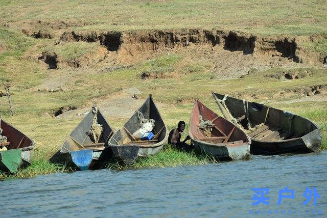 東非烏干達自助旅行,Kazinga海峽游船拜訪非洲最大河馬族群