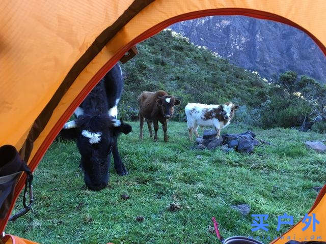 奔向秘魯瓦斯卡蘭國家公園，走一條人煙稀少的徒步登山路徑