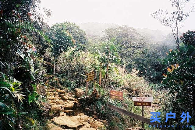 馬來(lái)西亞京那巴魯公園兩天一夜，走在東南亞最高峰的路上
