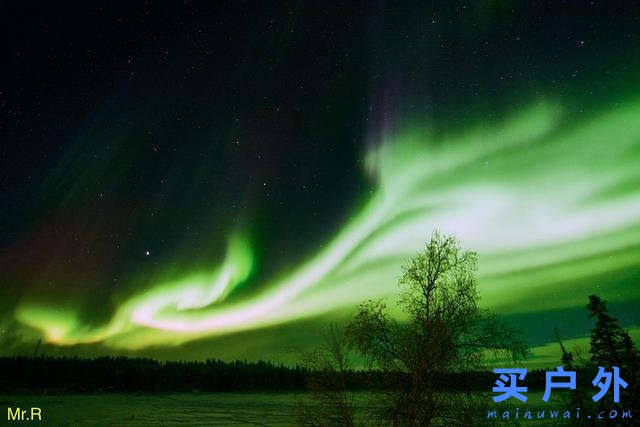 加拿大黃刀鎮極光村除了看炫目的極光,還能怎么玩?