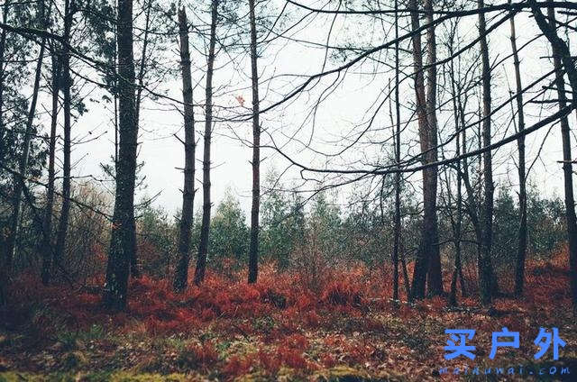 西班牙朝圣之路，走過風雪冰雨的蜜月旅行