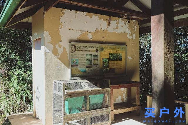 馬來(lái)西亞京那巴魯公園兩天一夜，走在東南亞最高峰的路上