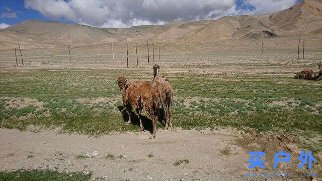 新疆之行,走近冰山之父慕士塔格峰