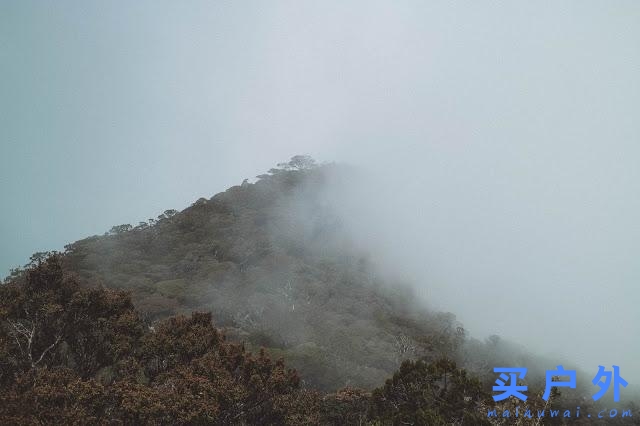 馬來(lái)西亞京那巴魯公園兩天一夜，走在東南亞最高峰的路上