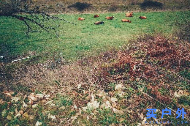 西班牙朝圣之路，走過風雪冰雨的蜜月旅行