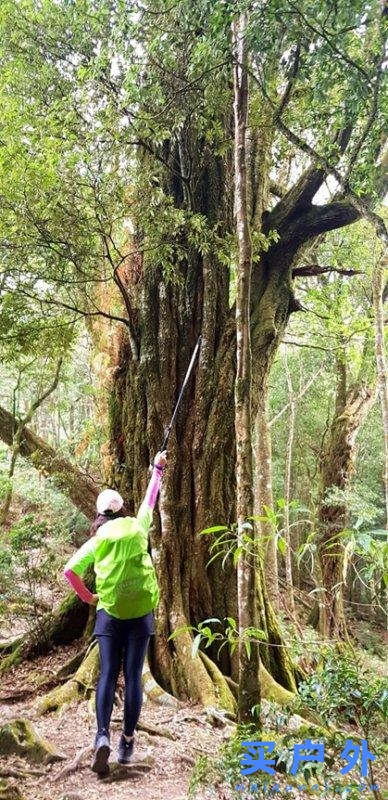 Salomon的登山鞋好在哪里?分享Salomon登山鞋實測心得