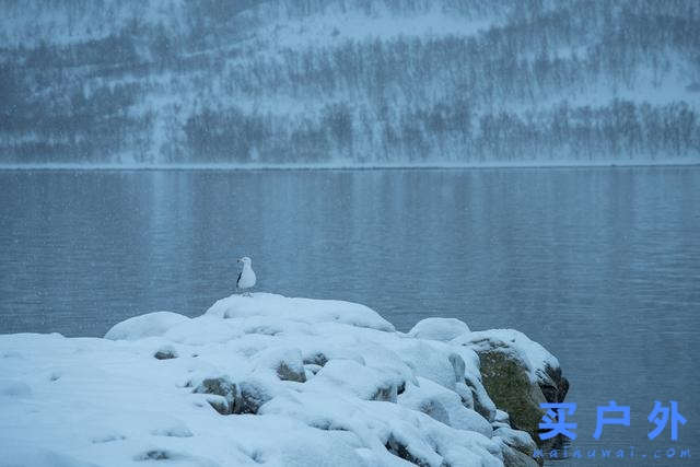 冬日挪威北極圈，不凍港特羅姆瑟全世界最北城市之一