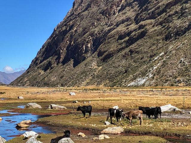 秘魯安第斯山區徒步天堂圣克魯茲，4天3夜徒步48公里的故事
