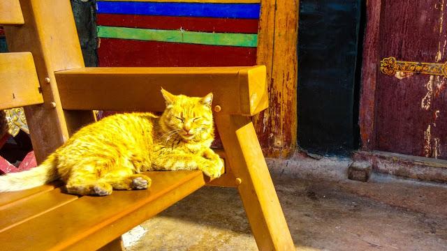 西藏布達拉宮,3分鐘帶你登上世界上海拔最高的宮殿