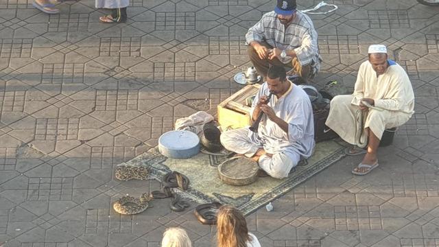 去摩洛哥旅行，關于摩洛哥的一些小事