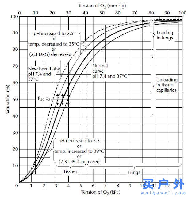 南美洲第一高峰記錄，登頂南美之巔阿空加瓜峰