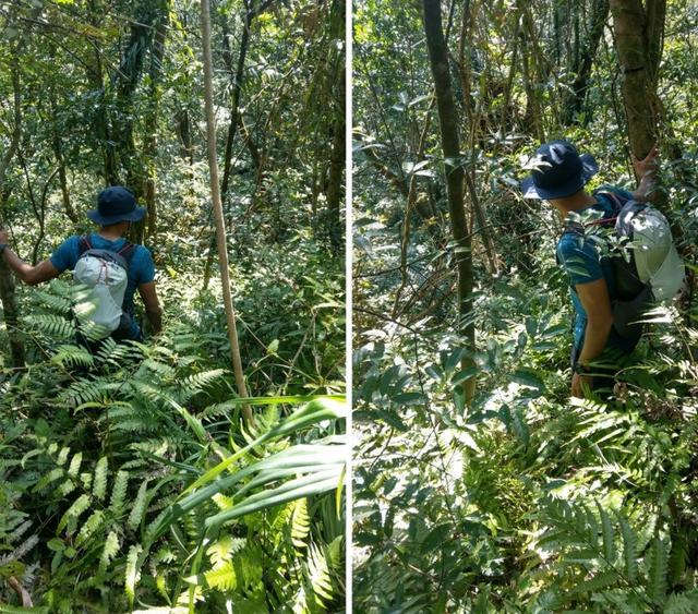 北面The North Face防水徒步登山鞋實測，一款多功能戶外鞋