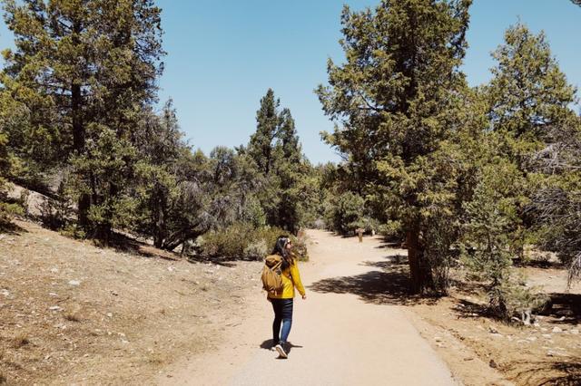 走上美國加州美洲獅鬃毛步道,一窺太平洋屋脊步道的面貌