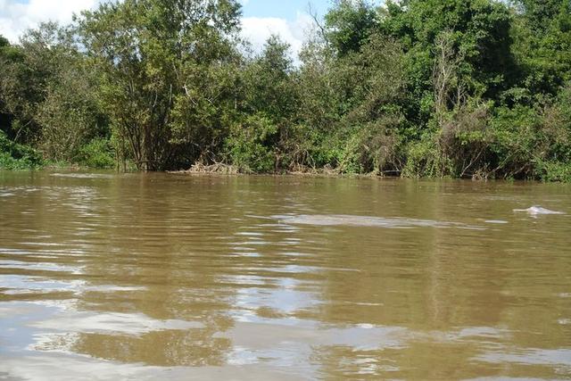 深入玻利維亞亞馬遜雨林3天2夜冒險記