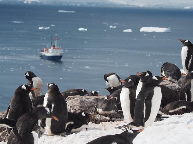 南極,世界最后一個被發現的大陸