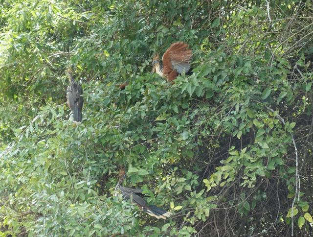 深入玻利維亞亞馬遜雨林3天2夜冒險記