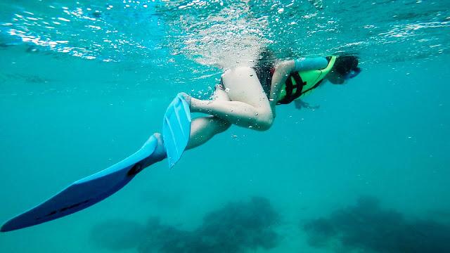 10分鐘帶你登上馬爾代夫無(wú)人島與海龜共游，居民島一日浮潛攻略