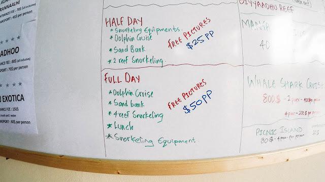 10分鐘帶你登上馬爾代夫無(wú)人島與海龜共游，居民島一日浮潛攻略