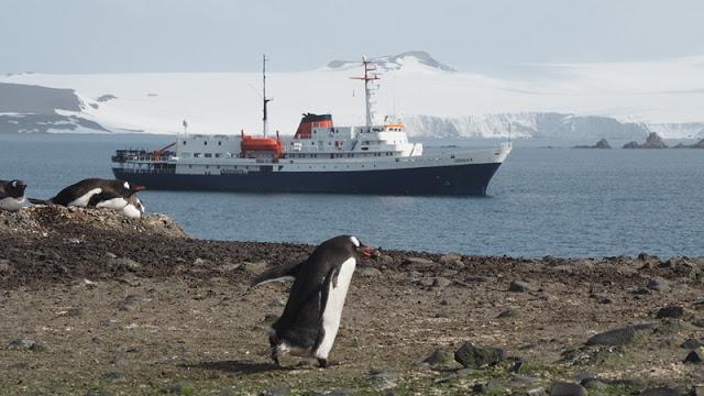南極,世界最后一個被發現的大陸