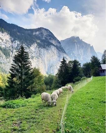 瑞士阿爾卑斯山的愜意生活，我們的詩和遠方
