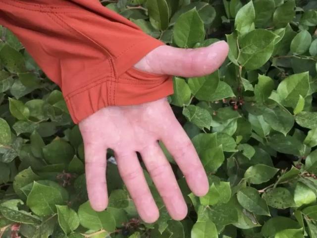 2019年度排名最佳男款軟殼外套測評