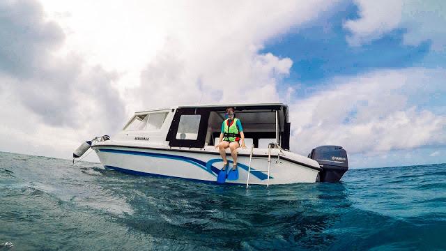 10分鐘帶你登上馬爾代夫無(wú)人島與海龜共游，居民島一日浮潛攻略