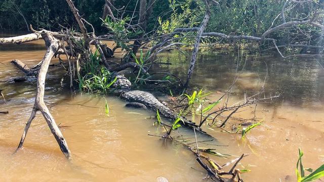 深入玻利維亞亞馬遜雨林3天2夜冒險記