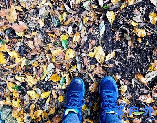 上山的一萬種選擇，Salomon薩洛蒙戶外中幫登山鞋實穿分享