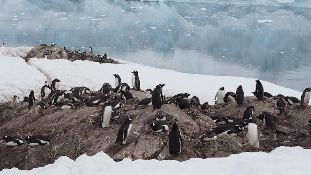 南極,世界最后一個被發現的大陸