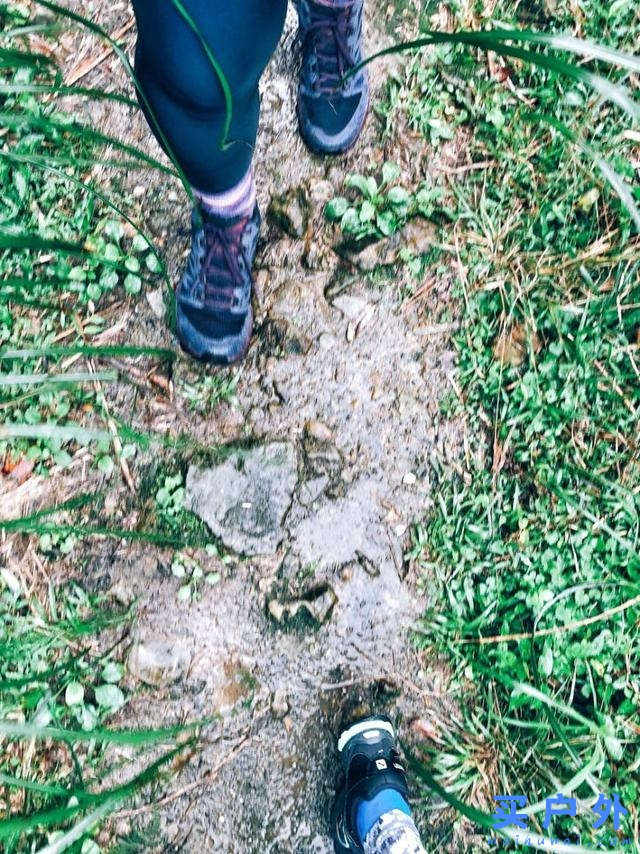 上山的一萬種選擇，Salomon薩洛蒙戶外中幫登山鞋實穿分享