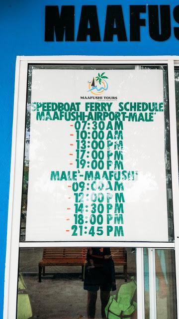 10分鐘帶你登上馬爾代夫無(wú)人島與海龜共游，居民島一日浮潛攻略