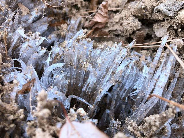 韓國人特別喜歡爬山,我就去爬了韓國釜山第一高山金井山姑堂峰