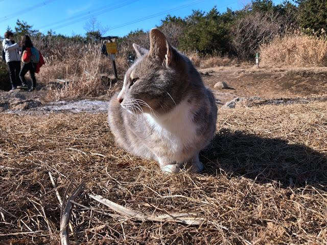 韓國人特別喜歡爬山,我就去爬了韓國釜山第一高山金井山姑堂峰