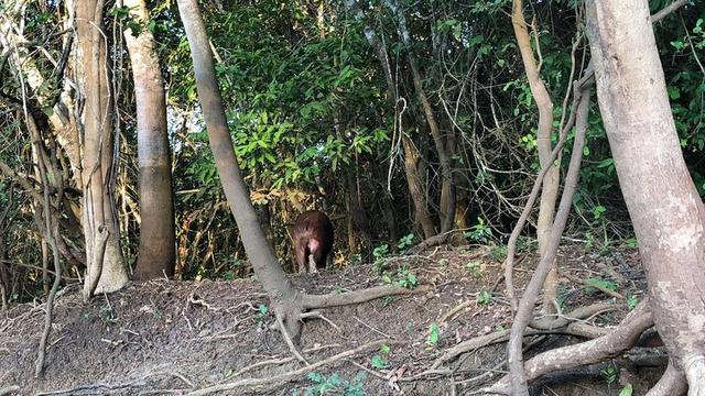 深入玻利維亞亞馬遜雨林3天2夜冒險記