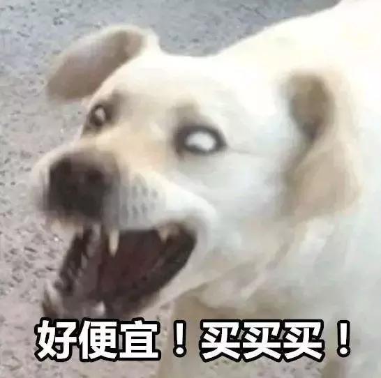 戶外運動裝備海淘全攻略