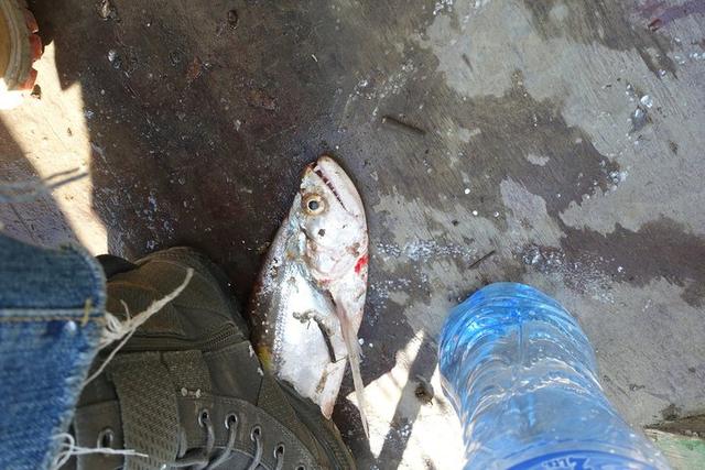 深入玻利維亞亞馬遜雨林3天2夜冒險記