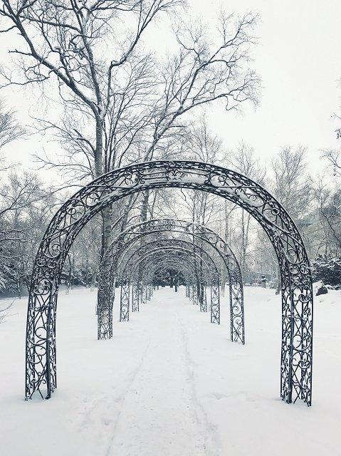 俄羅斯遠東,一個人去庫頁島