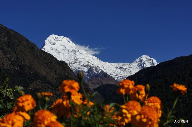 自助徒步尼泊爾,安納普爾納Annapurna小環(huán)線