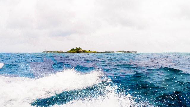 10分鐘帶你登上馬爾代夫無(wú)人島與海龜共游，居民島一日浮潛攻略