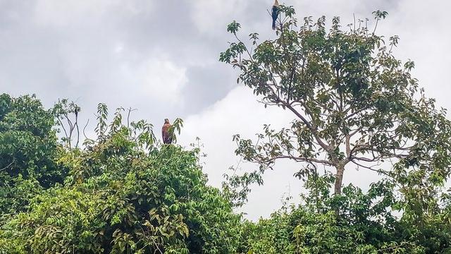 深入玻利維亞亞馬遜雨林3天2夜冒險記