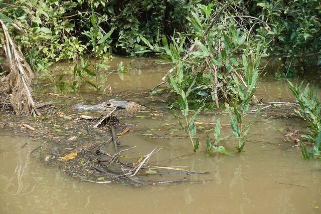 深入玻利維亞亞馬遜雨林3天2夜冒險記