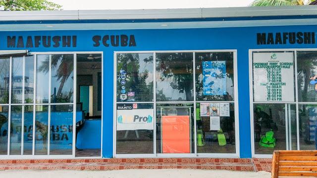 10分鐘帶你登上馬爾代夫無(wú)人島與海龜共游，居民島一日浮潛攻略