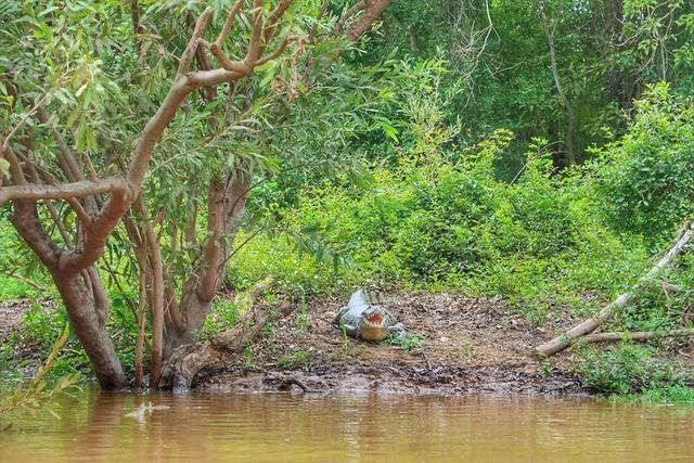 深入玻利維亞亞馬遜雨林3天2夜冒險記